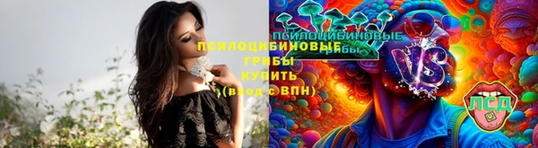 молекула духа Бронницы